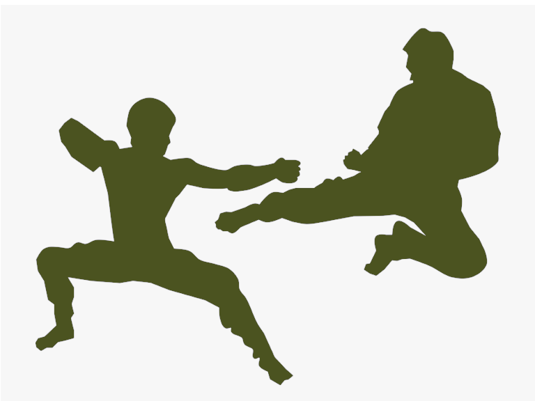 green silhouettes in martial arts forms